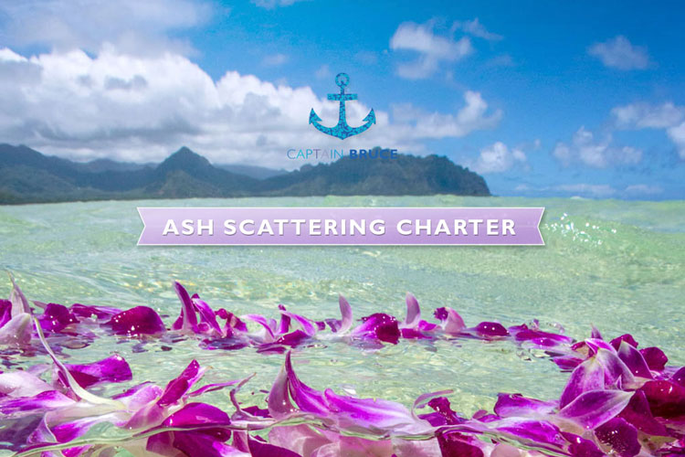 Private Cruises Kaneohe Sandbar