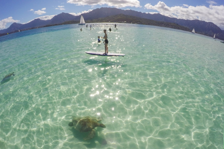 Stand-up paddle boarding with sweeping views of the Ko'olau Mountains