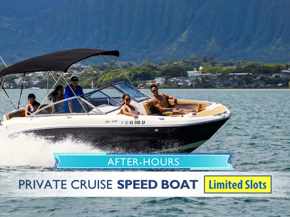 Private Cruises Kaneohe Sandbar short cruise