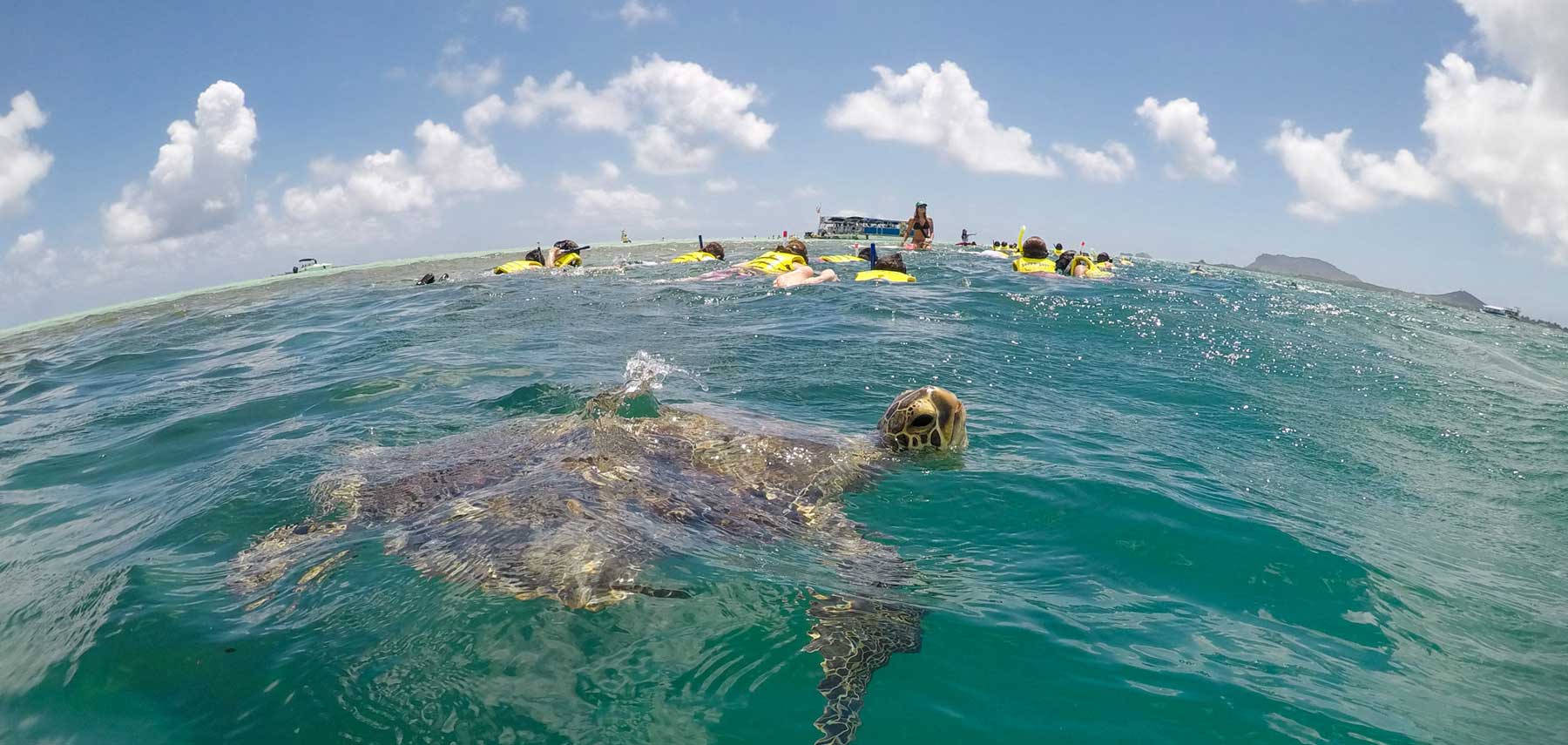 キャプテンブルースの天国の海ツアーは、オアフ島カネオヘのヘエイアケアボートハーバーからスタートします