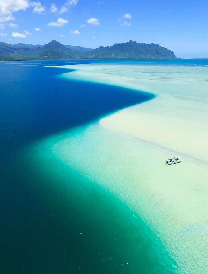 Snorkeling tours at Kaneohe Sandbar
