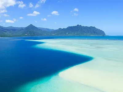 Snorkeling tours at Kaneohe Sandbar