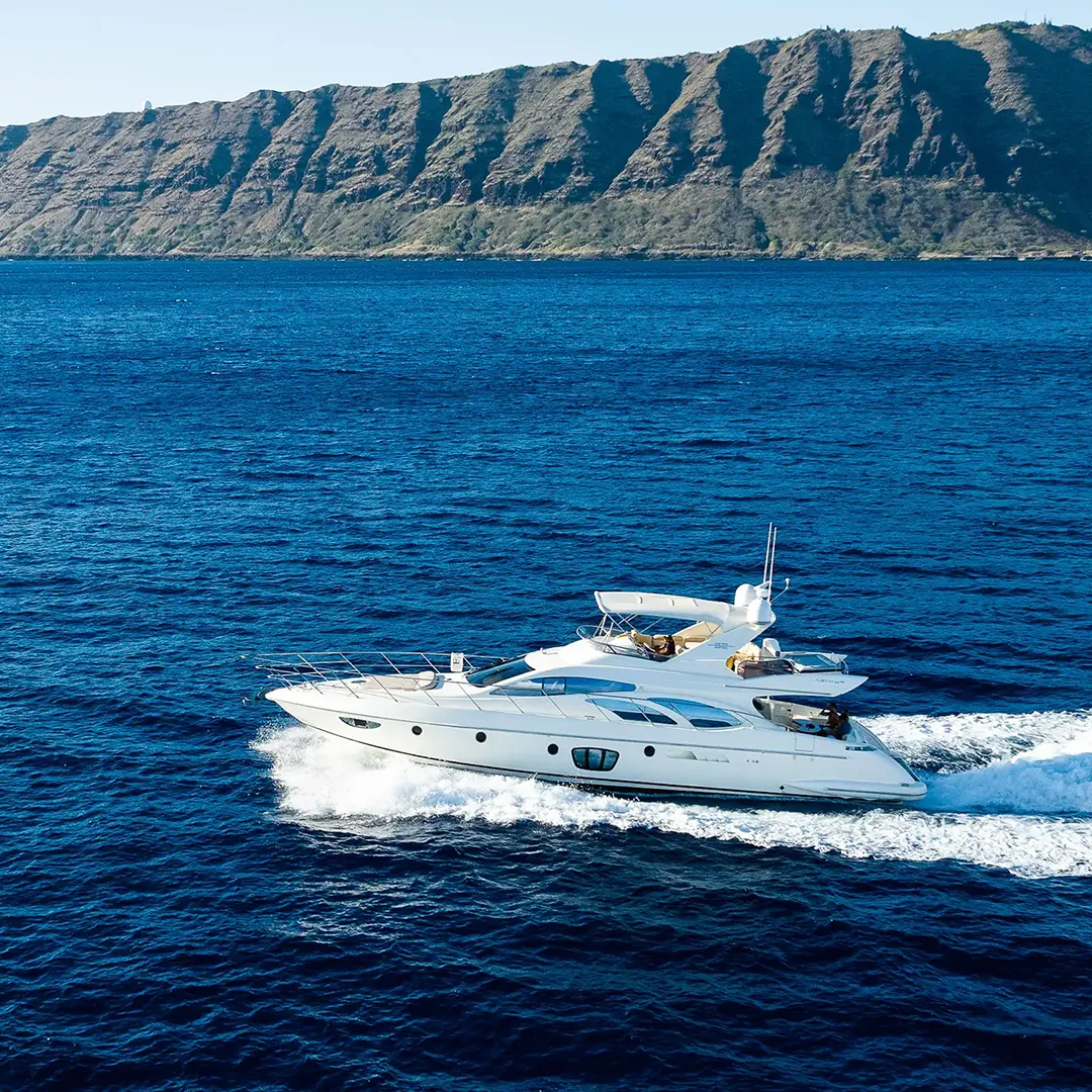 Snorkeling Tour and Private Cruises