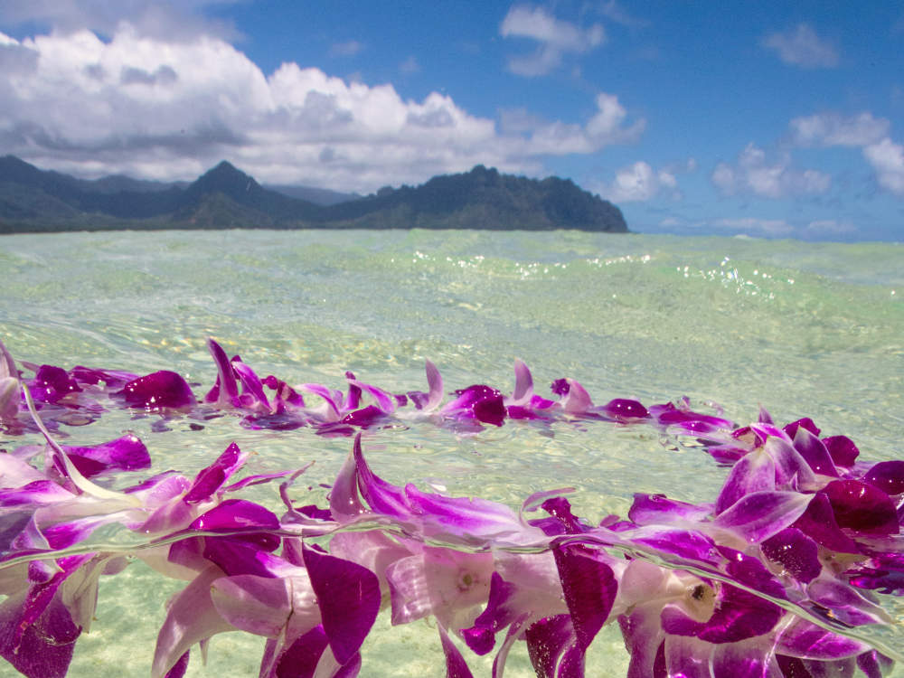 故人を送る「Mahalo」のセレモニー
