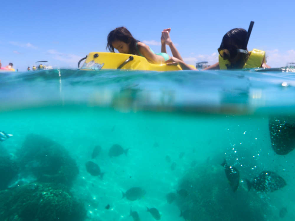 Kaneohe Sandbar Private Snorkeling tour