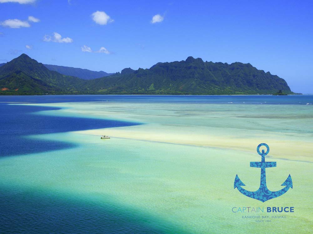 Kaneohe Sandbar Snorkeling Tours