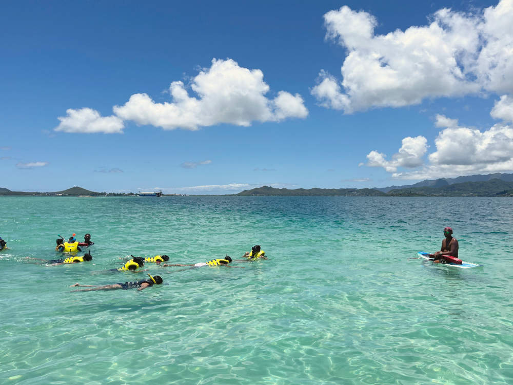 Sea Turtles in Oahu