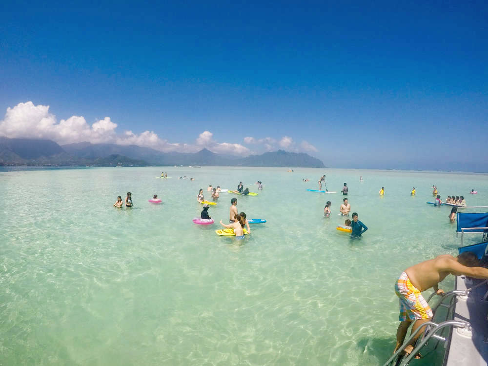 Sandbar volleyball