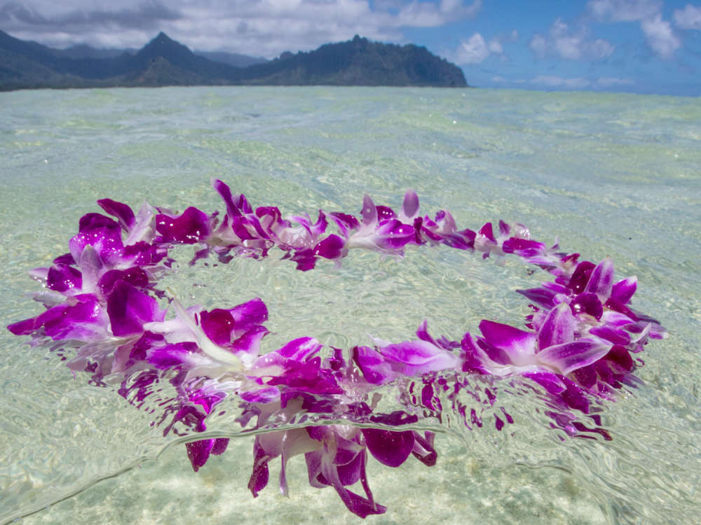 Kaneohe Sandbar Private Boat - a respectful ashes scattering