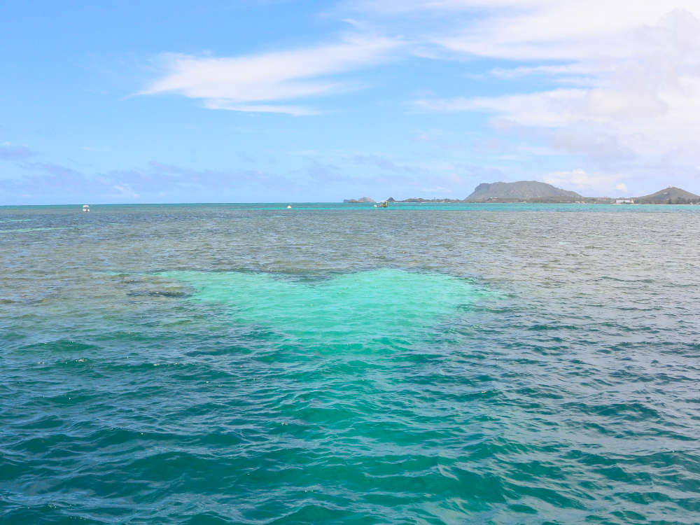 Kaneohe Sandbar simply maximizing your Oahu trip