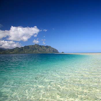 Perfect End to Your East O'ahu Road Trip!