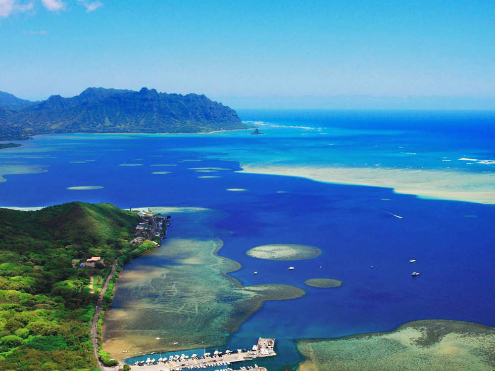 Ash Scattering Charter Kaneohe Sandbar upto 6 passengers