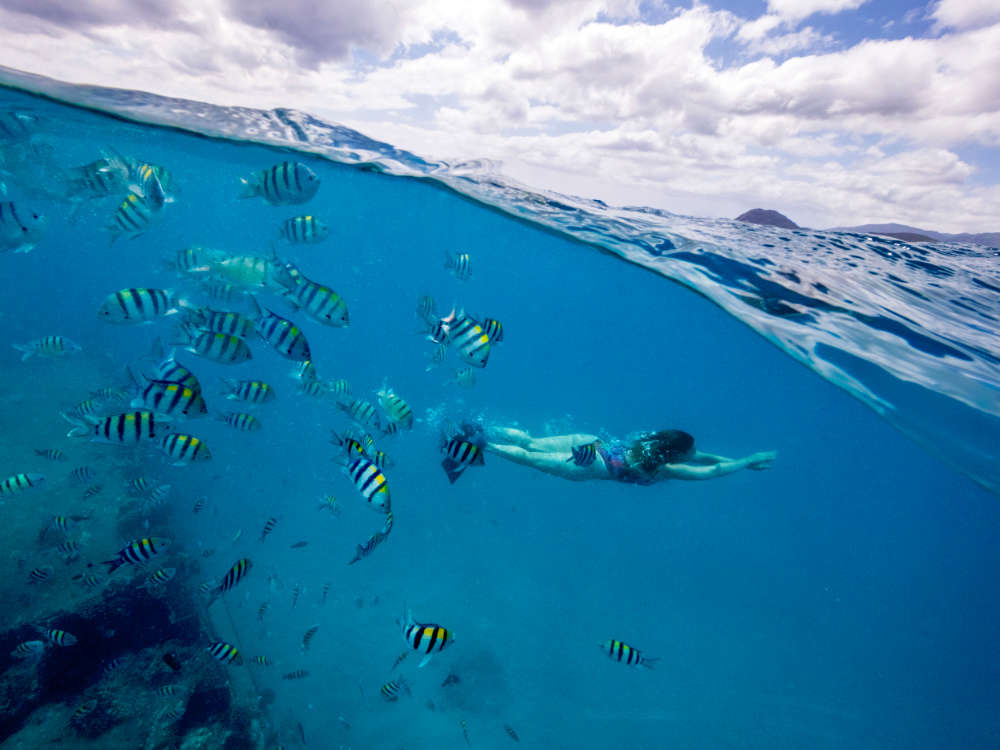 Enjoy Seabob during the daytime cruise