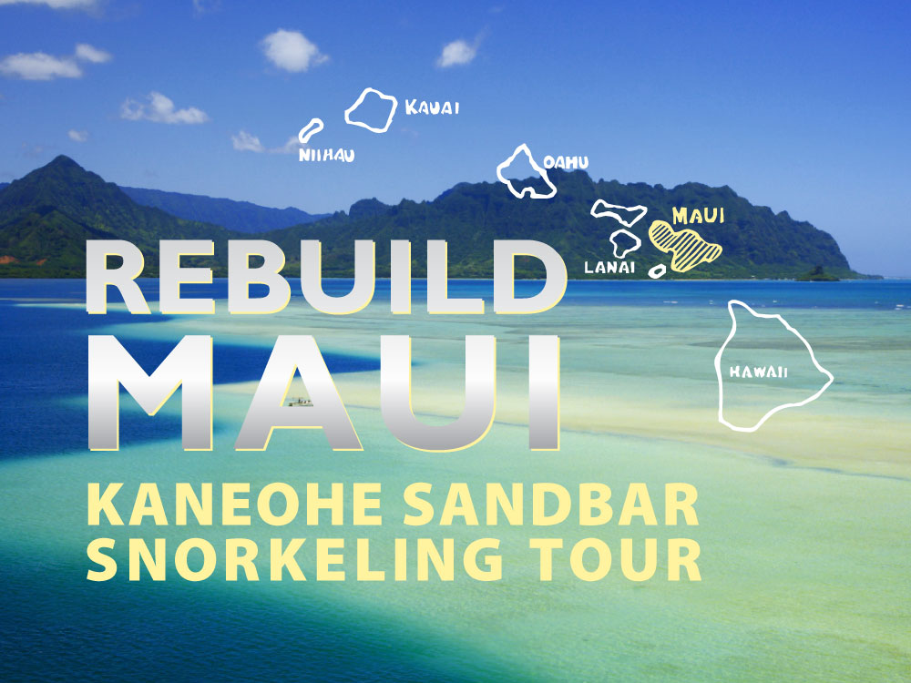 Rebuild Maui
