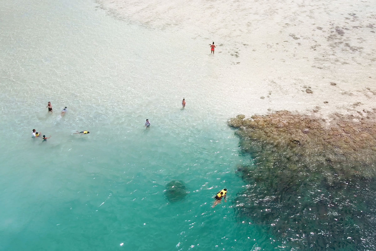 Snorkeling Tour - Kaneohe Sandbar