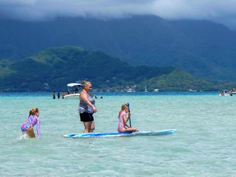 Turtle Kaneohe sandbar