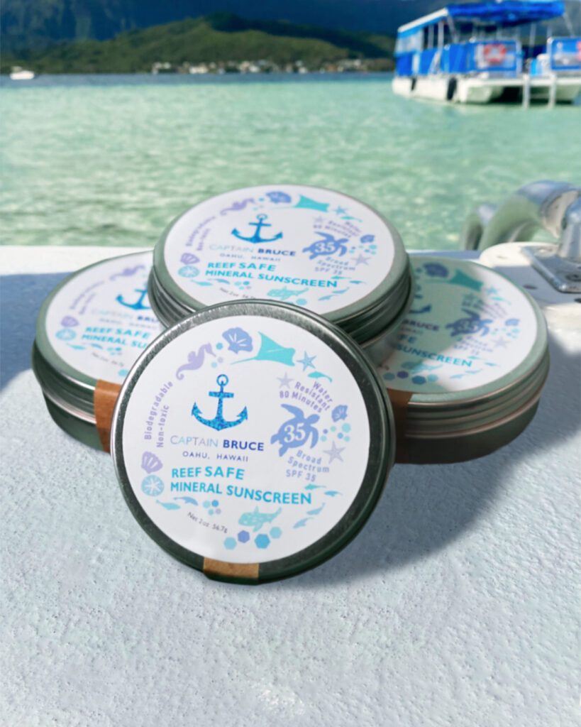 Reef Safe Sunscreen - Little Hands Hawaii 2025