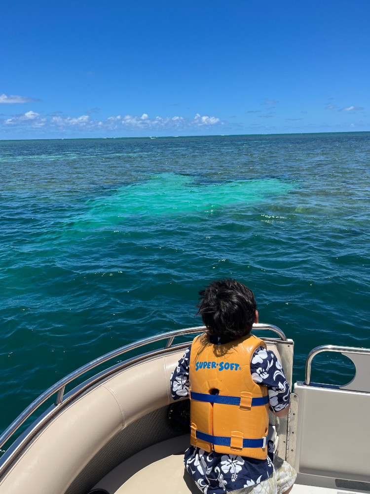 Heart reef in the Kaneohe Bay