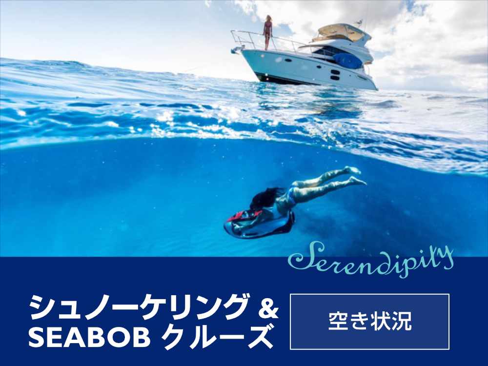 ワイキキ クルーズ  - シュノーケリング