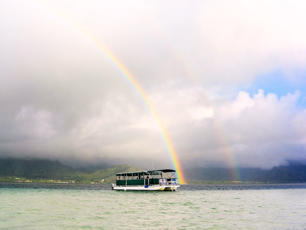 🌈 Chasing Rainbows