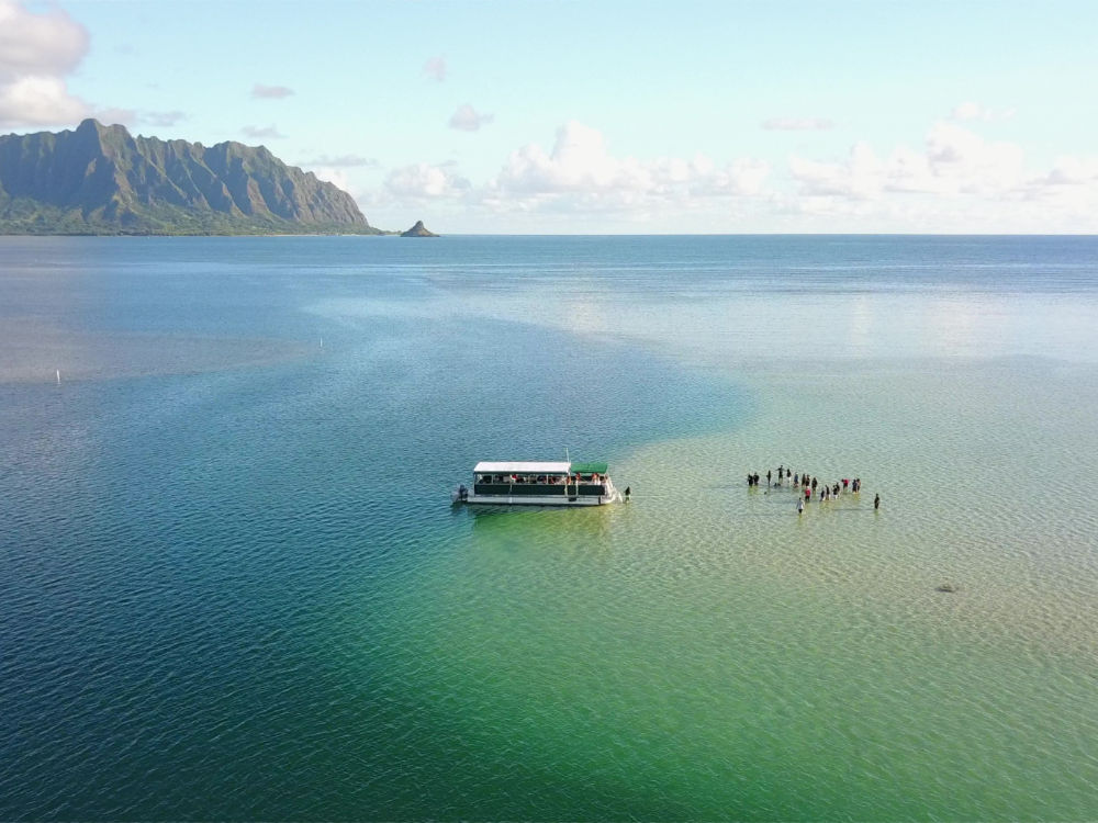 🧜‍♀️ Calm Morning Seas