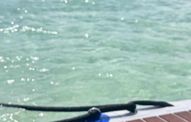 クチコミ 天国の海🄬ツアー