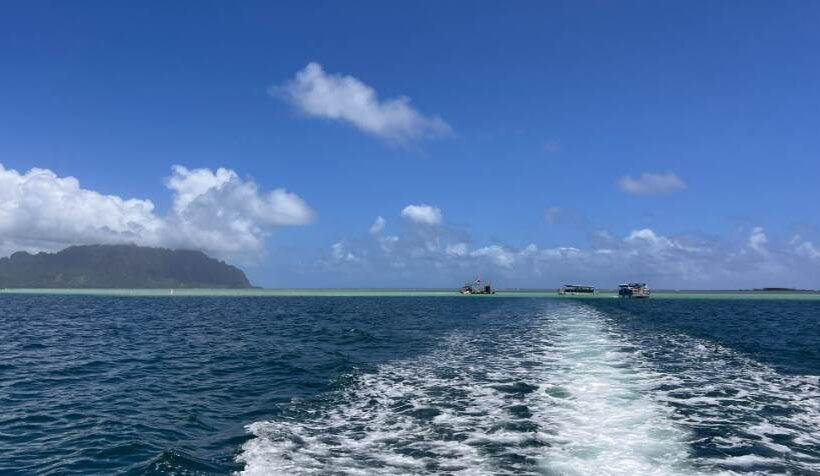 クチコミ 天国の海🄬 プライベートクルーズ