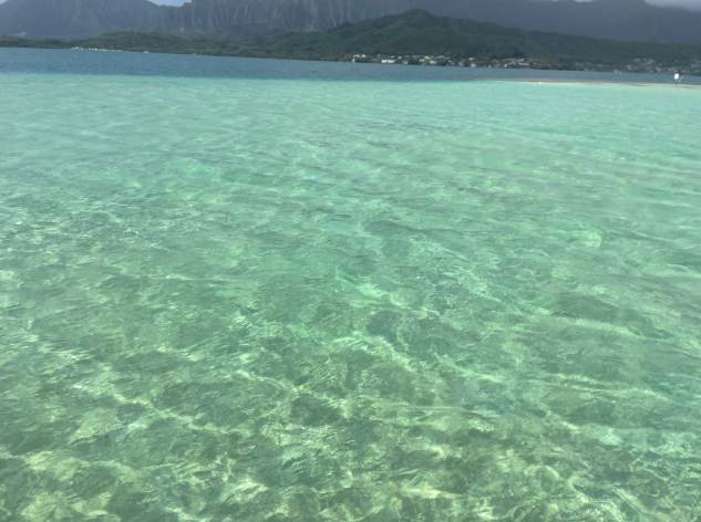 天国の海でHONUと