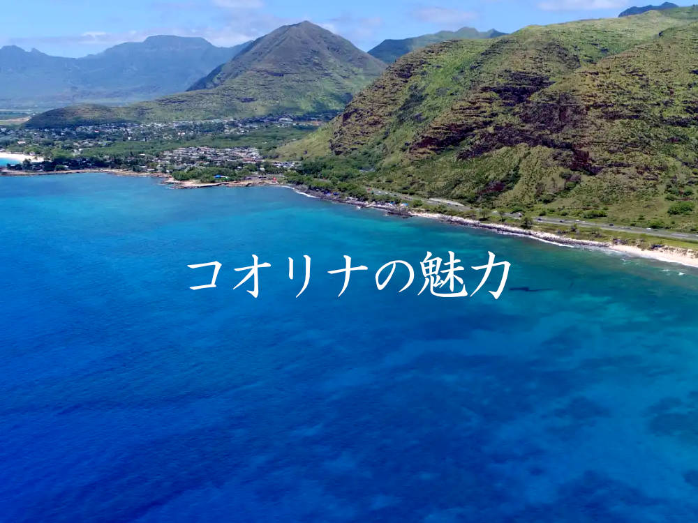 コオリナの魅力