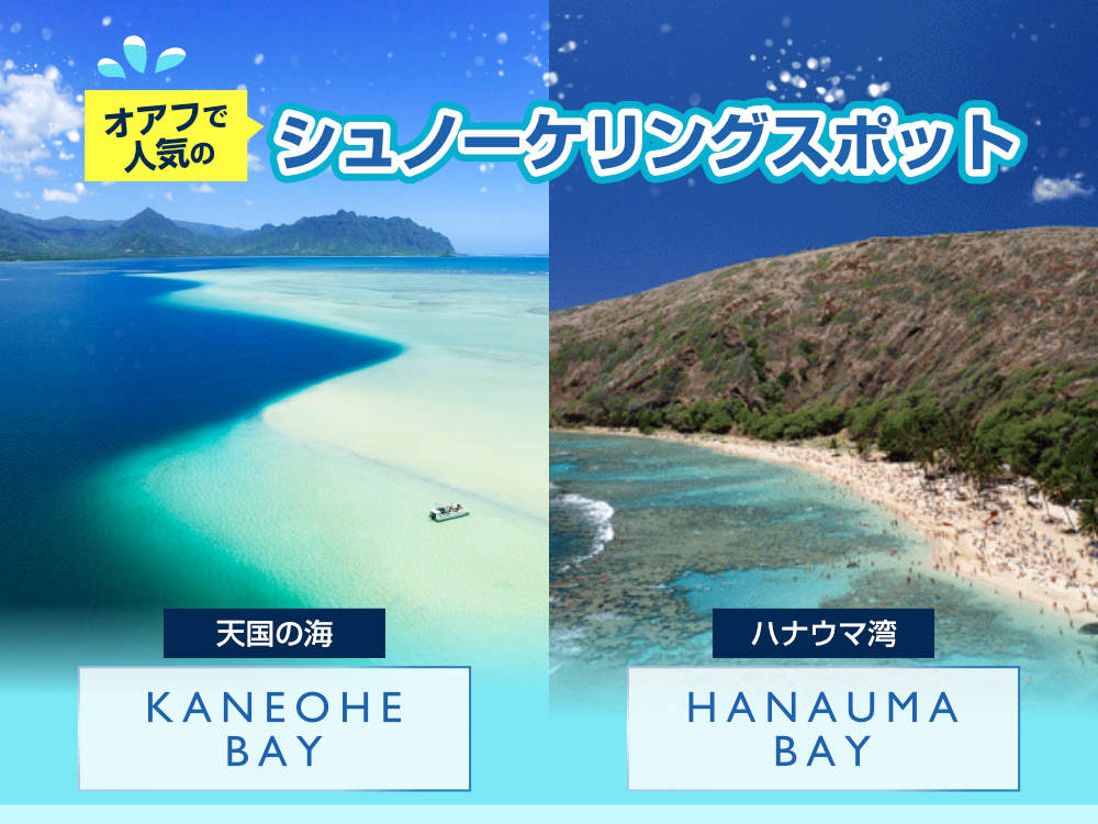 ハナウマ湾とカネオヘ湾