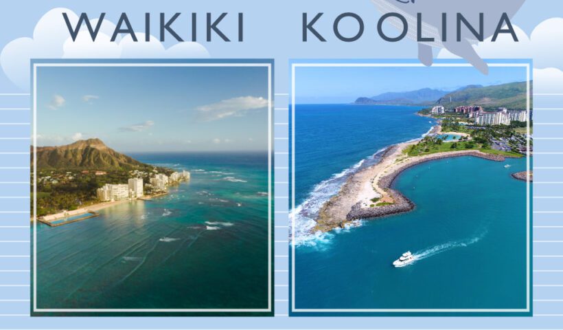 ホエールウォッチクルーズ：ワイキキとコオリナの違いは？