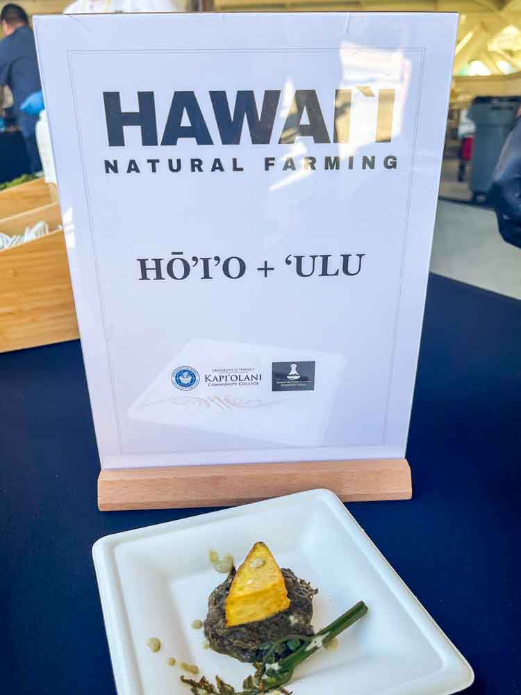 ハワイ新制度「グリーン フィー」2