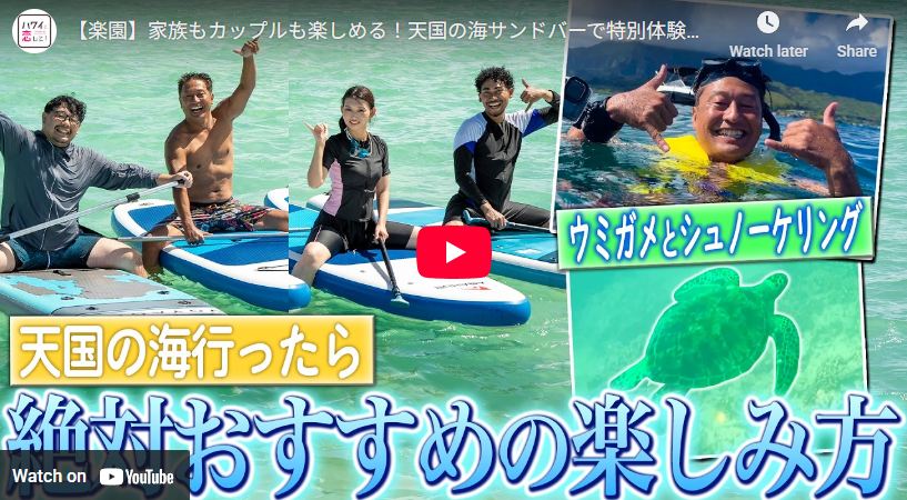 ハワイに恋して! 天国の海🄬