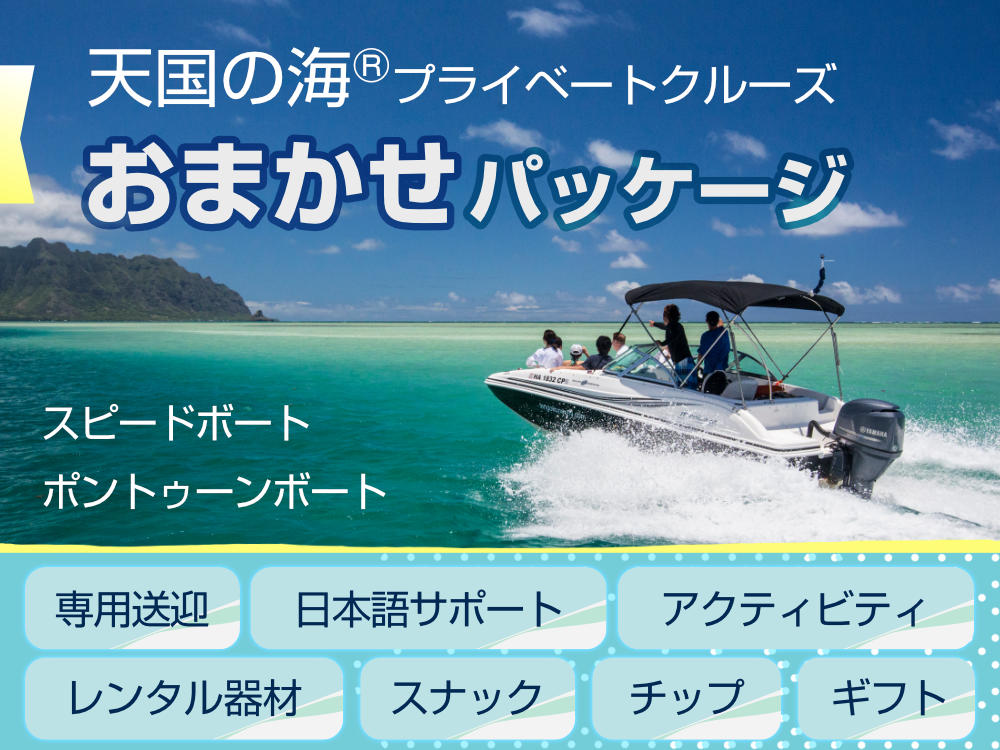 すべて最初からセット
新プラン「おまかせパッケージ」