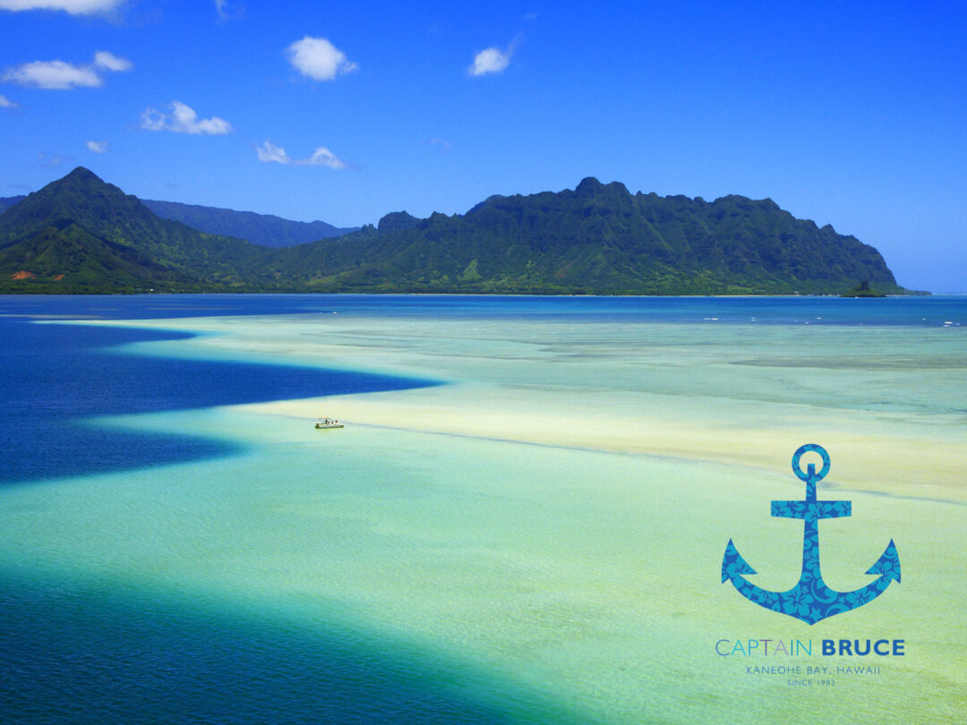 キャプテンブルース天国の海®ツアー