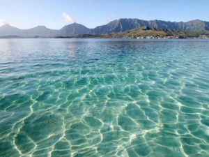 One of the Best Snorkeling Spots in Hawaii
