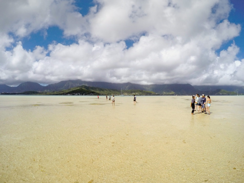 Sandbar Oahu
