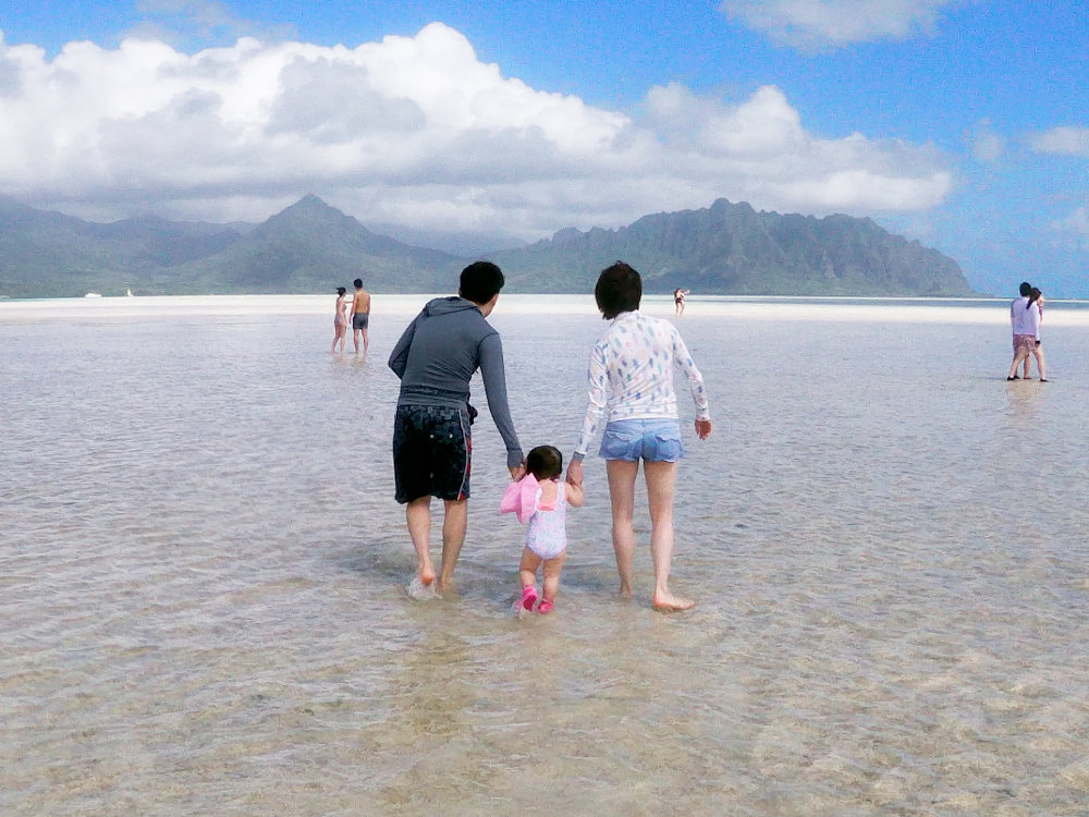 Sandbar Oahu