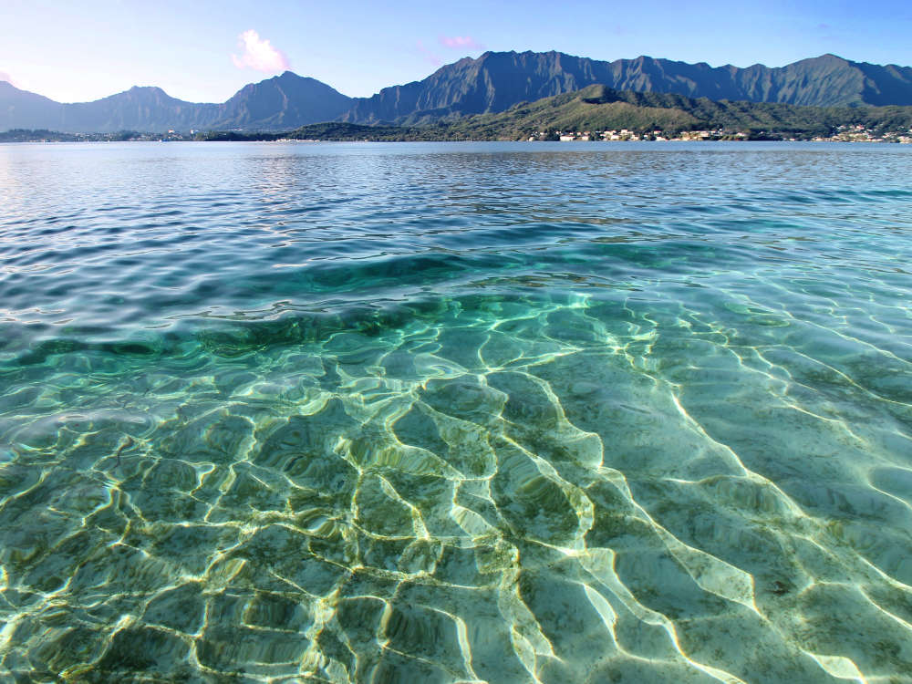 Early Morning Kaneohe Sandbar Tour