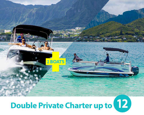 Double Private Charter for up to 12 passengers