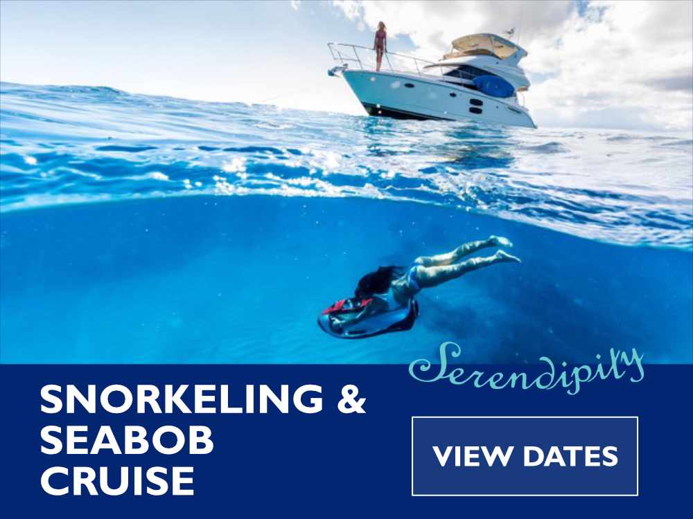 Serendipity - Waikiki Custom Cruise