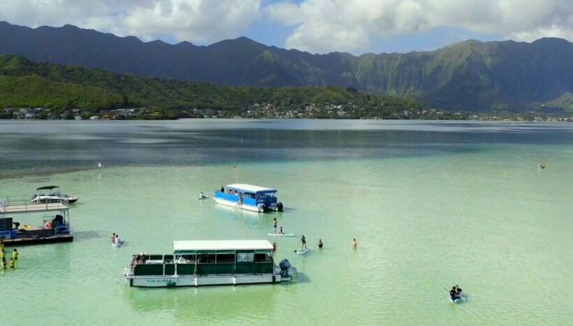 great everything was so good!