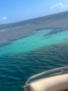 Sandbar Boat cruise