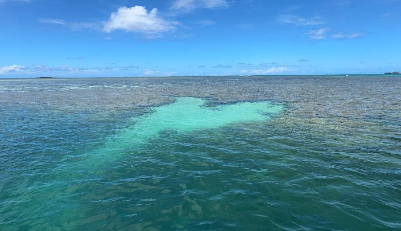 An Amazing Personal Experience in a Group Setting