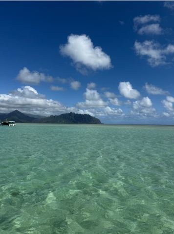BEST SANDBAR VIEW IN OAHU
