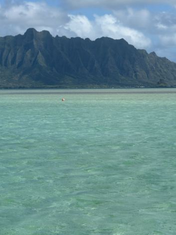 BEST SANDBAR VIEW IN OAHU