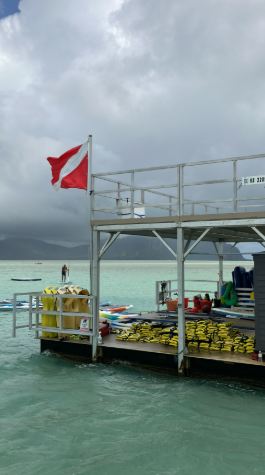 Amazing Sandbar Excursion August 2024