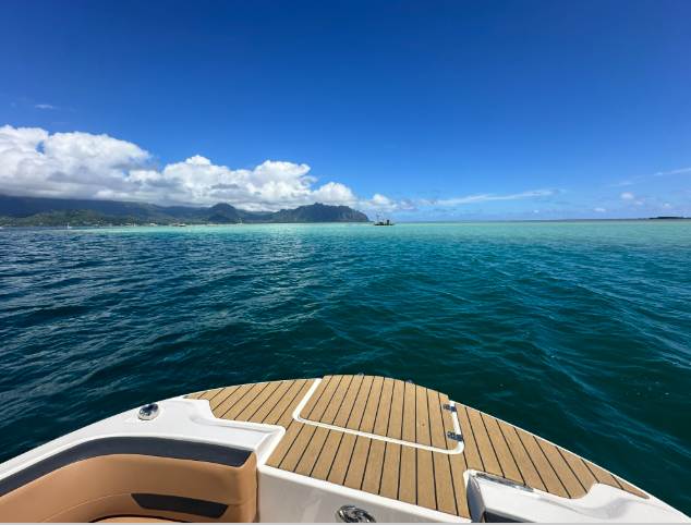 Private Sandbar Speedboat