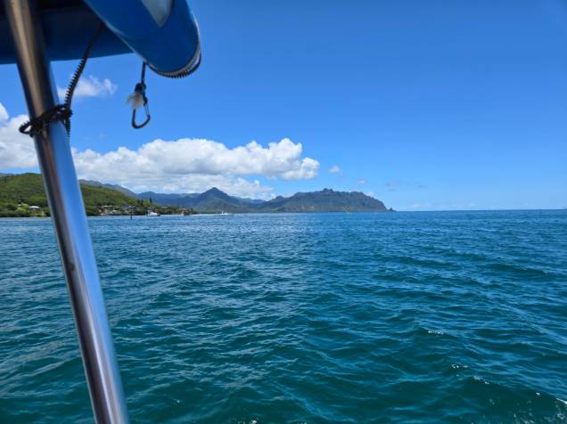6 Stars of 5: Recommend! Flexible Fun in the Sun, On the Water