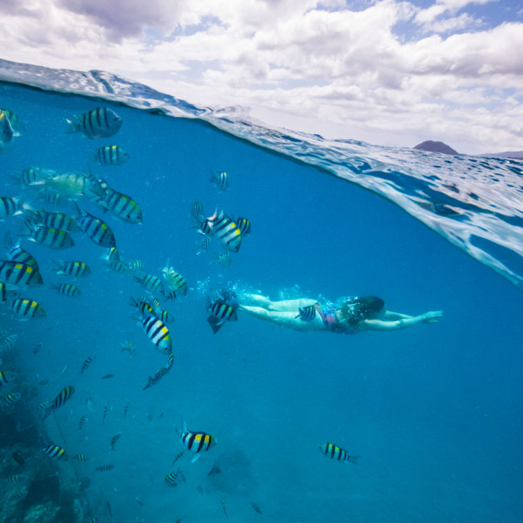 Snorkeling off Oahu’s west coast